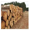 /product-detail/cedar-wood-logs-62008102936.html