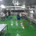 Self-leveling Pu cement vs epoxy floor
