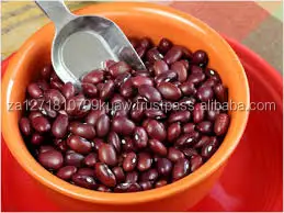 Dark red kidney beans