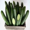 Fresh pickled gherkins, Pickled cucumbers, Canned cucumbers in glass jar