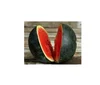 100% Matured Fresh Sweet Melons for export,.