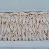/product-detail/halal-frozen-chicken-paws--50045857780.html