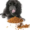 100% Natural No Additive Dried Cut Chicken Fillet Dog Treats Pet Food