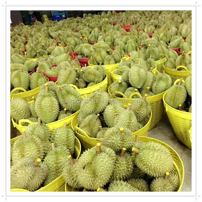 Fresh Durian fruits.jpg