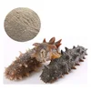 /product-detail/dried-sea-cucumbers-different-sizes-prompt-delivery-62007692025.html