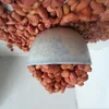 /product-detail/red-bamboo-beans-in-stock-ready-now-62000775794.html