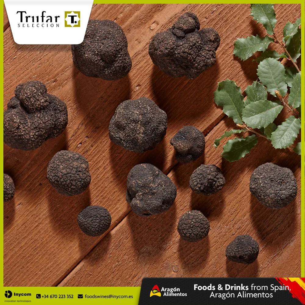 Tuber Aestivum. Fresh Truffles from Spain | TRUFAR Seleccion
