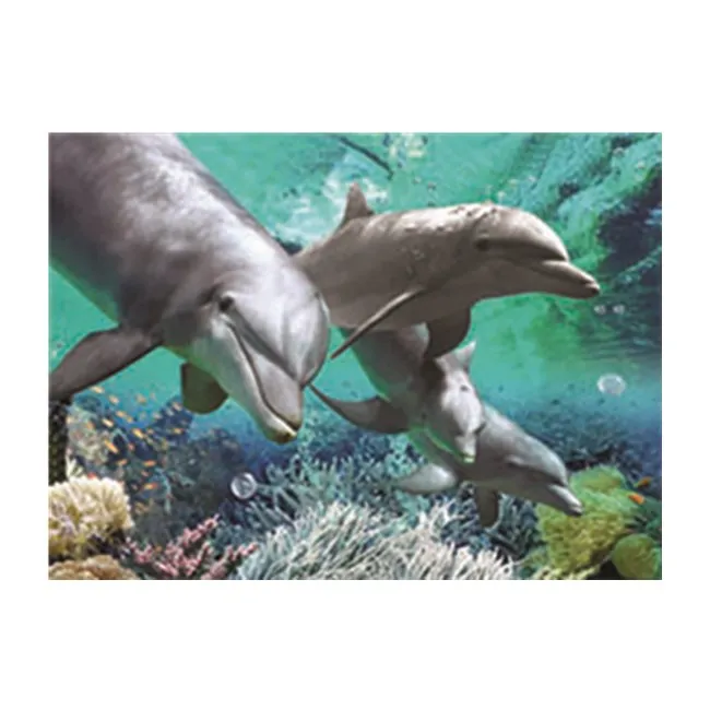 China manufacturer large size lenticular 3d poster design of sea animals