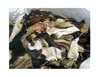 /product-detail/top-grade-leather-wet-dry-salted-hides-cow-donkey-skin-50043784314.html
