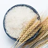 5% 10% broken Vietnam Jasmine Rice / Long grain white rice Specification