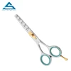 2019 Customized PROFESSIONAL Stainless Steel Hairdressing barber Thinning Scissors