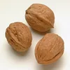 Asian walnuts in shell for sale