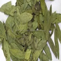 Calcium Sennosides Pure Senna Leaf Extract
