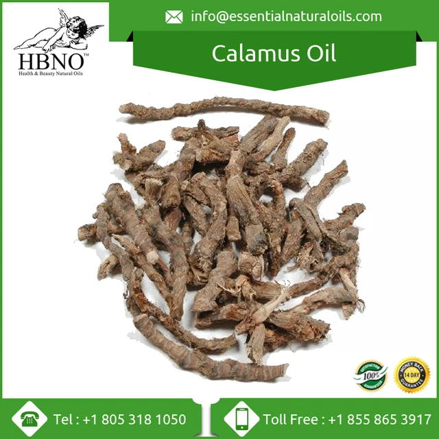 calamus root oil