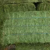 /product-detail/great-best-alfalfa-hay-for-sale-62009262330.html