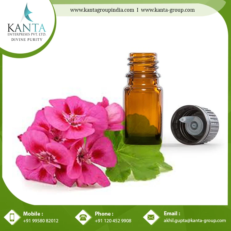 rose geranium essential oil