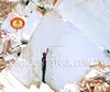 /product-detail/vietnam-pure-white-marble-block-50035956329.html