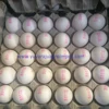 Namakkal Chicken White Egg Exporter in India/Tamilnadu