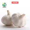 China Fresh Pure White Garlic Supplier for Montenegro