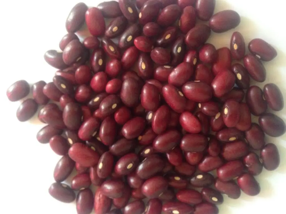 Red Kidney Beans