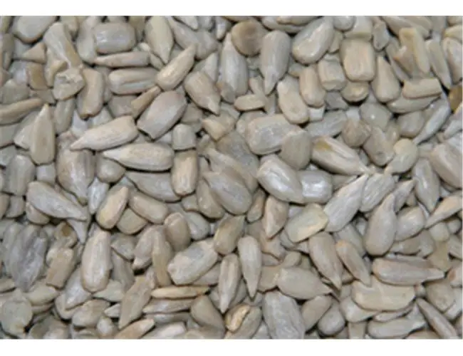 Buy types of sunflower seeds kernel/peeled sunflower seeds price hot sales