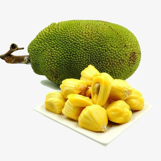 frozen jackfruit high quality with competitive prices (whatsapp