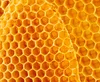 Cheap Sale of Yellow Beeswax with 100% Natural Bee Wax