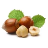 /product-detail/premium-selected-top-quality-hazelnuts-62000084533.html