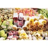 Top Quality Delicious Turkish Delight Lokum from Turkey