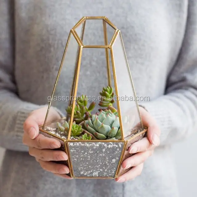 glass terrarium