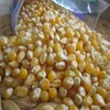 /product-detail/yellow-corn-animal-feed-grade-50044931182.html