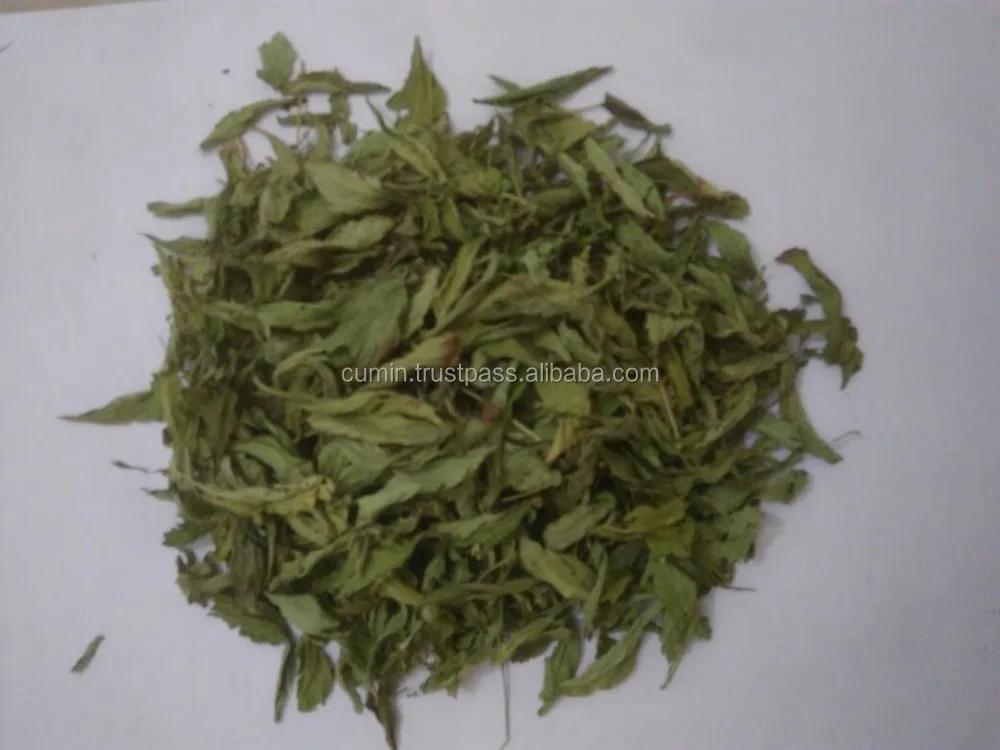 wholesale new dried stevia leaves dried leaf/herbal