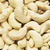 Dried Fruits | W240 Cashew Nuts Suppliers | W320 Cashew Nut