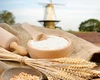 /product-detail/best-quality-whole-wheat-flour-price-ukraine-russia-indian-origin-62001001373.html