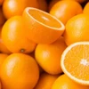 /product-detail/fresh-valencia-orange-and-mandrin-oranges-citrus-from-south-africa-ready-to-export-season-2019-50045750893.html