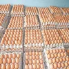 /product-detail/brown-table-chicken-eggs-50038405040.html