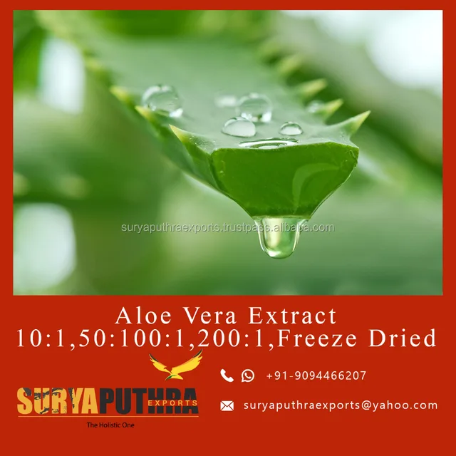 aloe vera gel plant leaf extract aloe emodin extraction powder