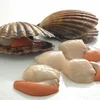Seafood wholesale health frozen hokkaido sea scallop