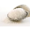 Premium Quality Bulk Coarse Sea Salt/ India Sea Salt