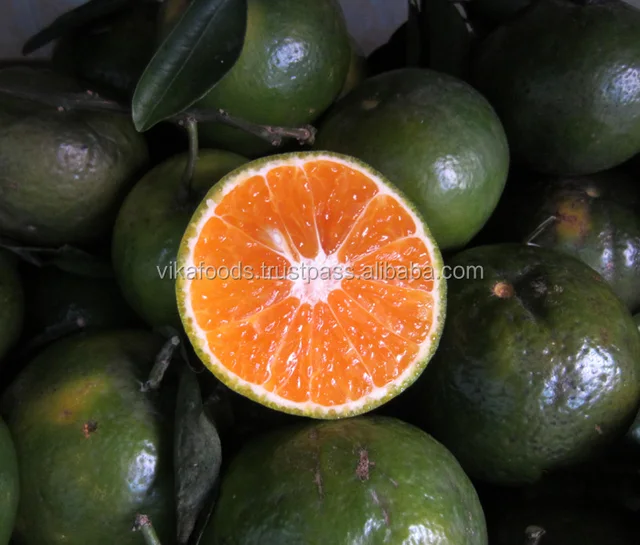 green citrus orange fruit plus sweets from fruit farm