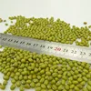 /product-detail/green-mung-beans-for-sale-62006199840.html