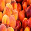 CHEAP HIGH QUALITY Peaches Wholesale Fresh Organic Fruit FOR SALE AND EXPORT