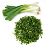 Dried Green onion flakes