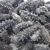 /product-detail/top-quality-dried-sea-cucumber-62001231556.html