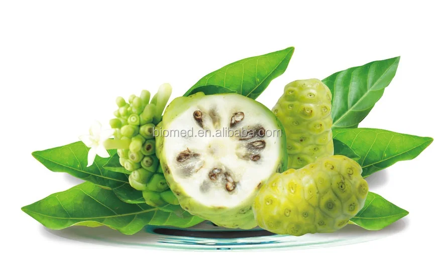 Noni fruit.jpg