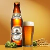 /product-detail/best-selling-viet-nam-trading-with-high-quality-beer-50012005282.html