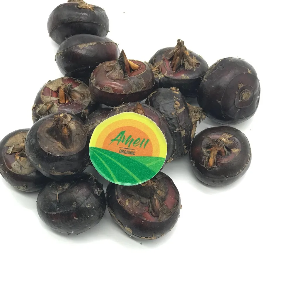 viet nam water chestnut for sale in best price