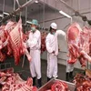 /product-detail/halal-frozen-boneless-beef-halal-buffalo-meat-mutton-62006043814.html