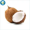 /product-detail/anti-microbial-and-anti-fungal-coconut-oil-easier-to-digest-not-readily-stored-as-fat-coconut-oil-50034490595.html