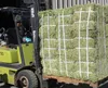/product-detail/alfalfa-hay-timothy-hay-lucerne-hay-for-animal-feed-for-sale-62001620101.html